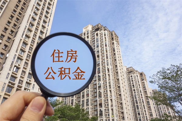 莱芜个人公积金去哪儿取（住房公积金个人到哪里提取）